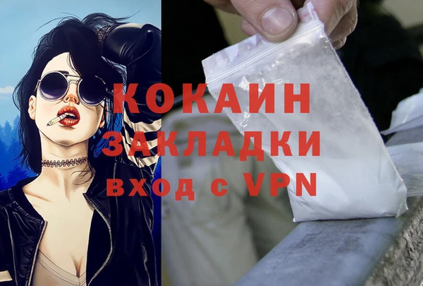 дмт Абаза