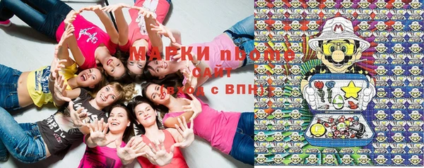 дмт Абаза