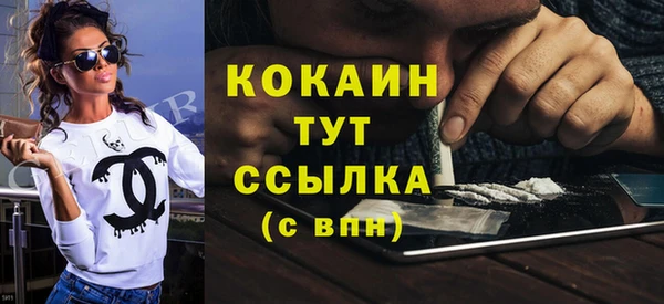 дмт Абаза